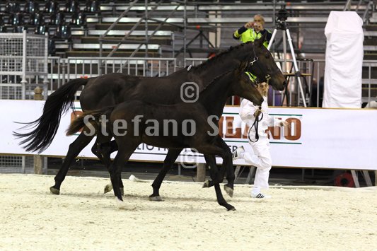 PRINCESS LIESA_MILANO_2010_SS3_7465.jpg